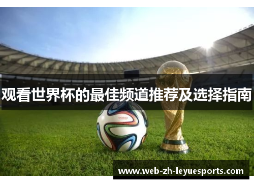 观看世界杯的最佳频道推荐及选择指南 观看世界杯的最佳频道推荐及选择指南