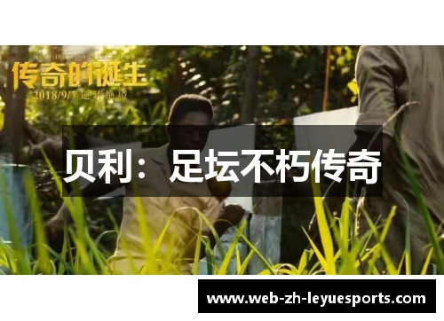 贝利:足坛不朽传奇 贝利:足坛不朽传奇