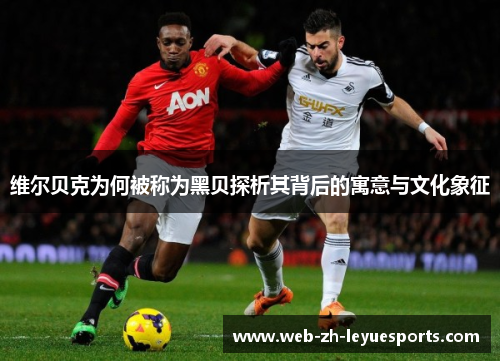 维尔贝克为何被称为黑贝探析其背后的寓意与文化象征 维尔贝克为何被称为黑贝探析其背后的寓意与文化象征