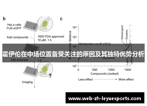 霍伊伦在中场位置备受关注的原因及其独特优势分析 霍伊伦在中场位置备受关注的原因及其独特优势分析