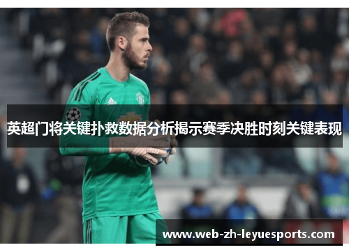 英超门将关键扑救数据分析揭示赛季决胜时刻关键表现